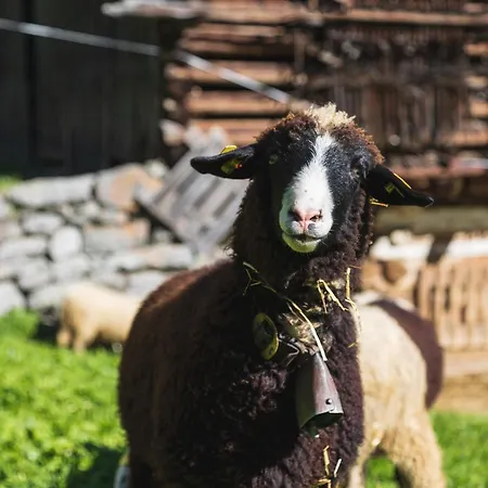 Muensterhus By A-appartments Дом отдыха Шрунс